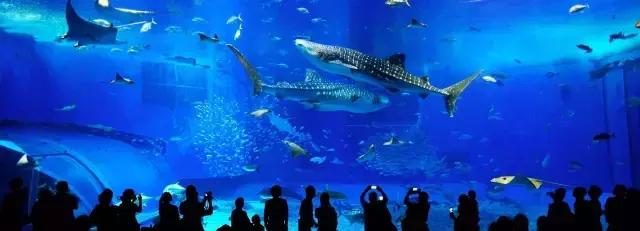 冲绳旅行攻略美食推荐,日本冲绳新都心亲子游购物攻略