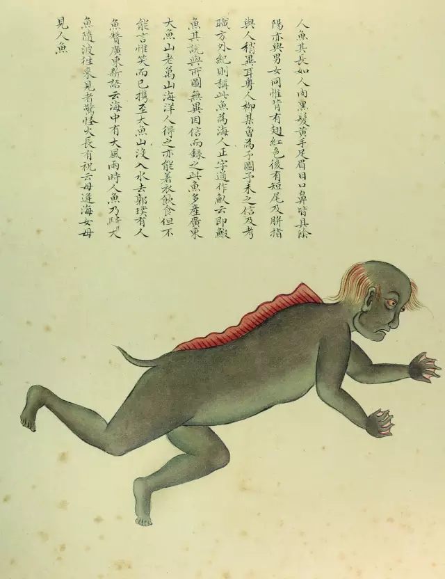 中国海怪,中国的海