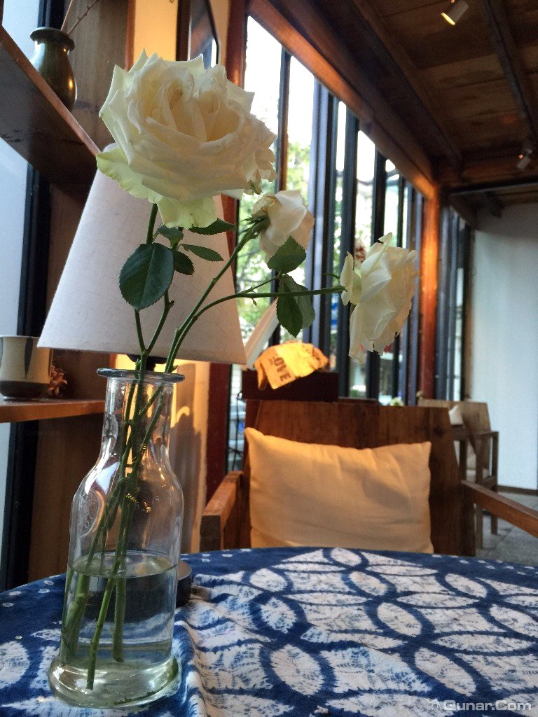 大理无花果好去处,大理路边大叶无花果