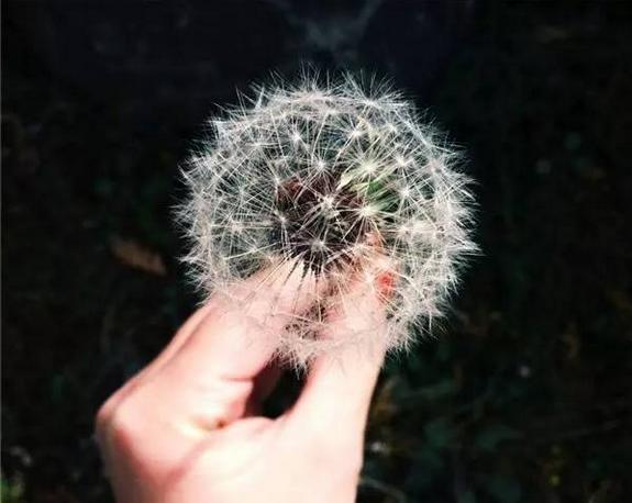 教师面试试讲答辩提问几个问题,试讲答辩会问什么问题教师招聘