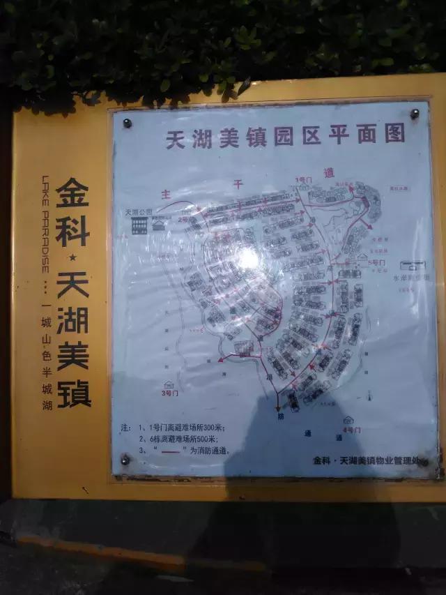 金科郑州城,金科地产郑州金科城