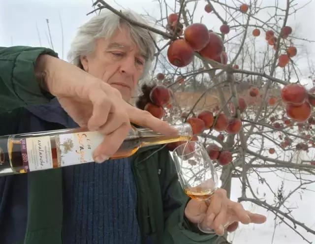 回国探亲礼品,最全加拿大回国礼品推荐