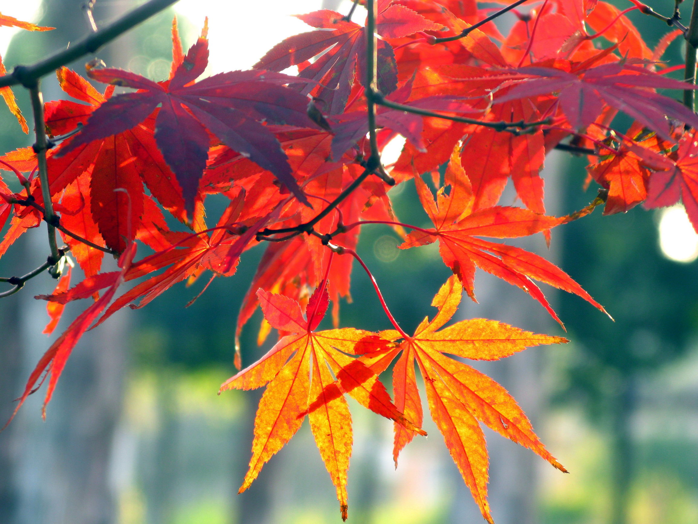 结婚老婆一直住娘家合法吗,结婚后住女方家会有什么后果