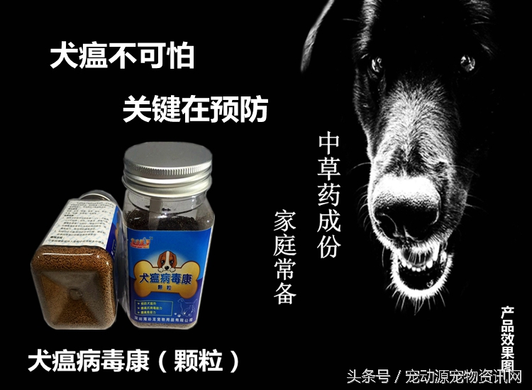 续篇2：宠主们狗狗饲养过程中碰到的各种烦恼和病例，发表见解。