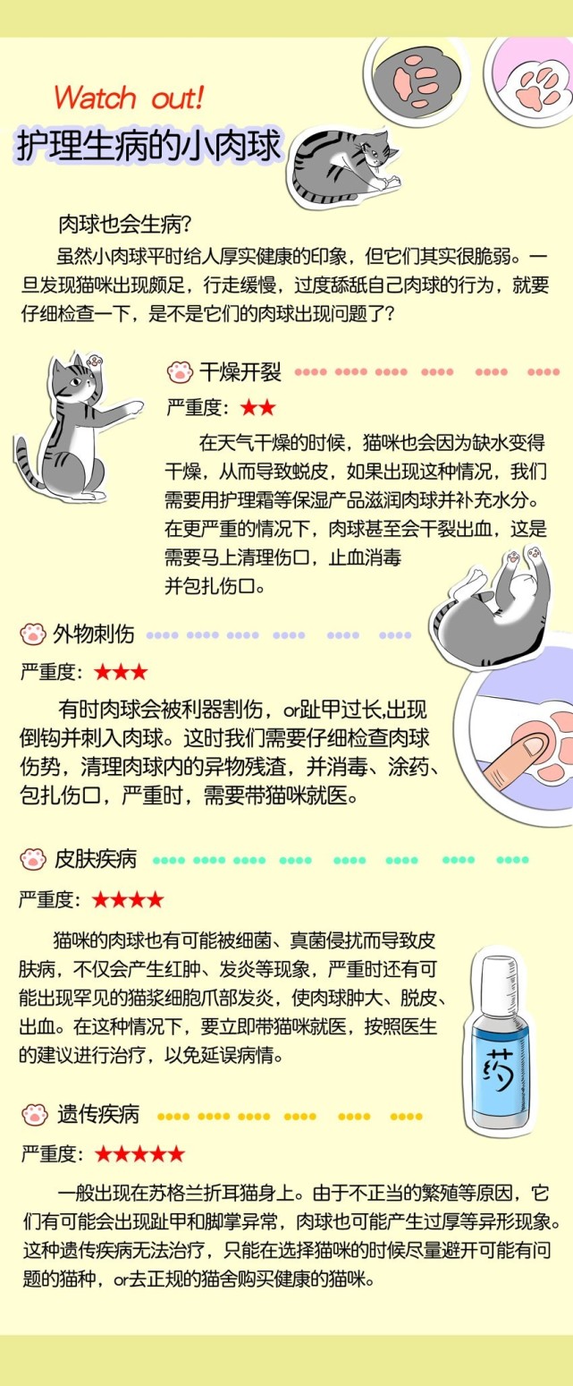 怎么护理猫咪爪子上的肉垫,怎么促进猫爪生长发育