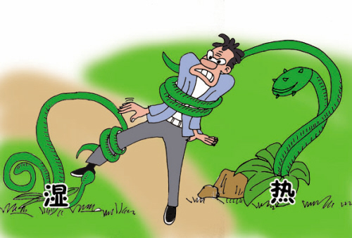 中医对三焦湿热的治疗,三焦湿热中医调理