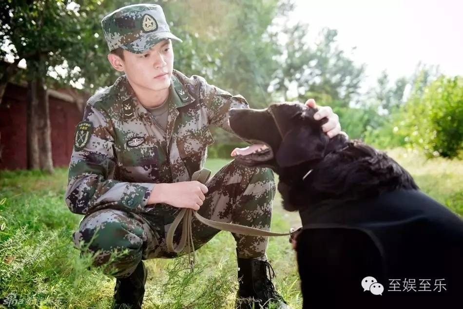 前方萌宠来袭！这些大陆宠物剧你都看过吗？