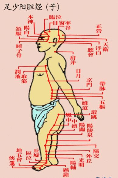胆经淤堵后背疼,胆经淤堵引起头胀