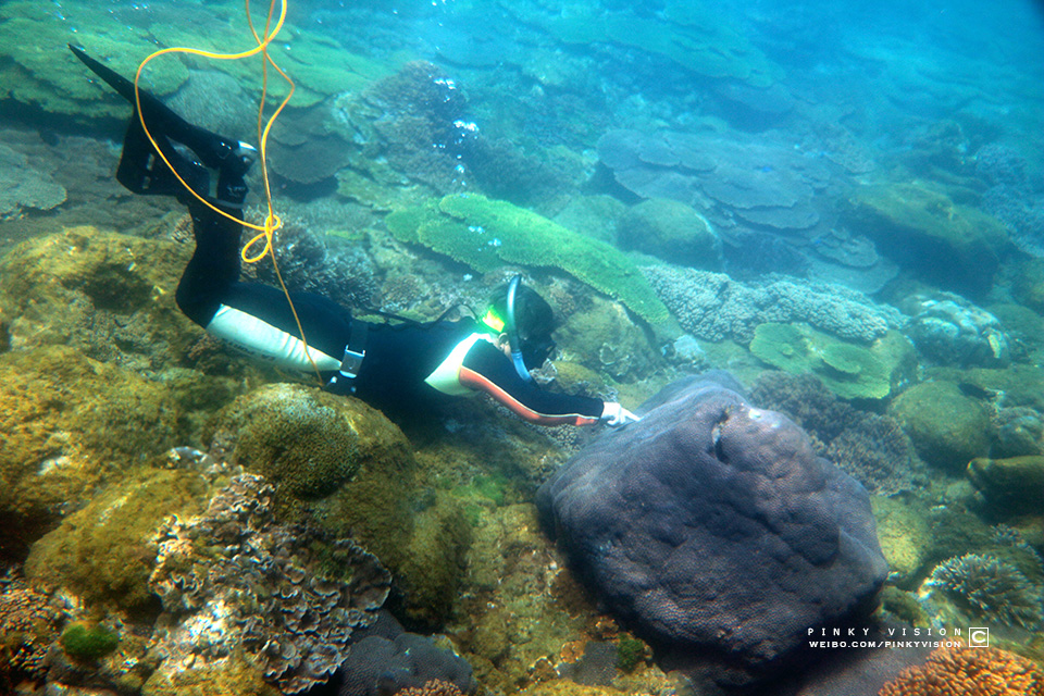 travel环球旅行,travel新旅行