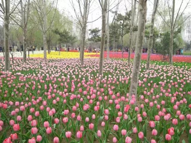 南京地铁三期最新消息,南京最近要开通的地铁