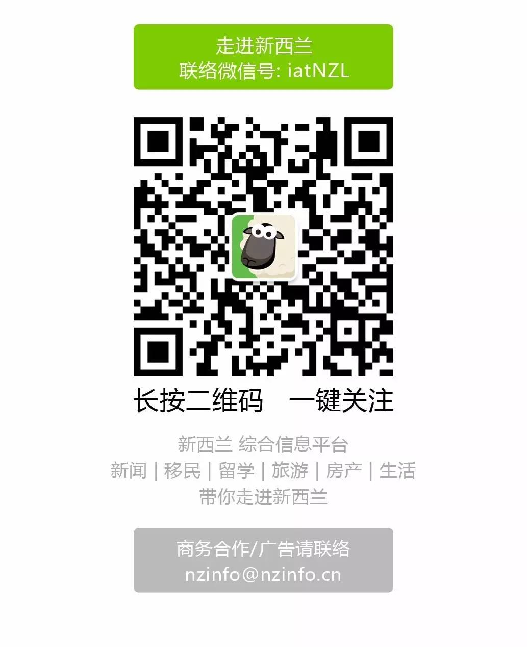 整个新西兰都在买！4千万纽币，2亿人民币，周末进入必掉模式！代购们卖疯了~
