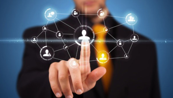 金栗子网络科技有限公司,金栗网络科技有限公司