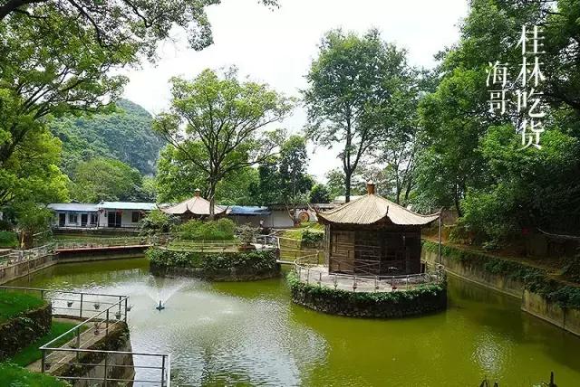 火火火!火爆珠三角的火焰醉鹅杀到桂林了!好吃到舔指头!