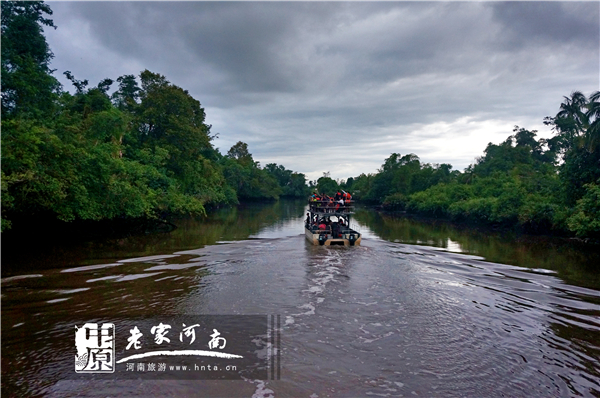 金秋沙巴游 (暑假去沙巴旅游攻略)