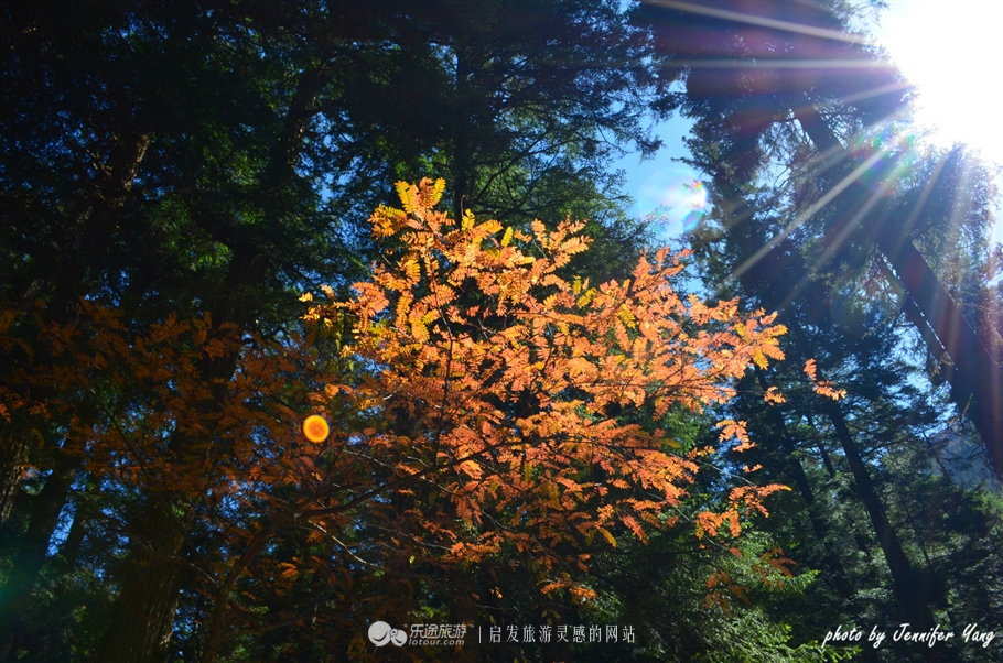来到大山深处人间仙境,灵气缭绕人间仙境