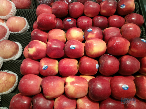 <html>
<head><title>502BadGateway</title></head>
<body>
<center><h1>502BadGateway</h1></center>
<hr><center>nginx</center>
</body>
</html>
<!--apaddingtodisableMSIEandChromefriendlyerrorpage-->
<!--apaddingtodisableMSIEandChromefriendlyerrorpage-->
<!--apaddingtodisableMSIEandChromefriendlyerrorpage-->
<!--apaddingtodisableMSIEandChromefriendlyerrorpage-->
<!--apaddingtodisableMSIEandChromefriendlyerrorpage-->
<!--apaddingtodisableMSIEandChromefriendlyerrorpage-->
