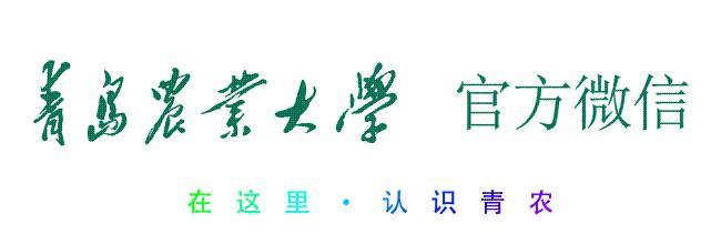 这学期考试的成绩,学期成绩在哪里看