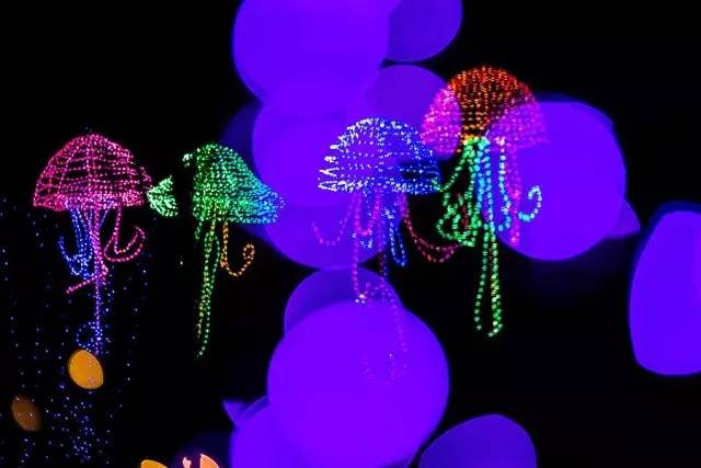 五彩斑斓的灯光夜晚,夜晚的璀璨灯光