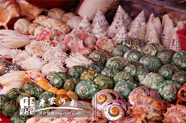 金秋沙巴游 (暑假去沙巴旅游攻略)