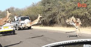 会踢球的男人,踢球的男生值得珍惜