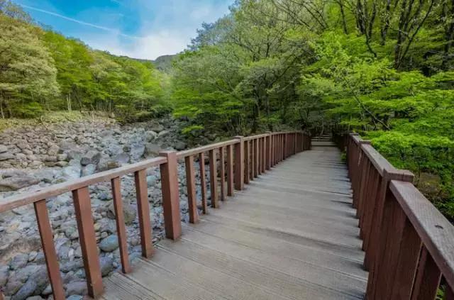 济州岛对中国一直免签吗,济州岛是对全球免签的吗