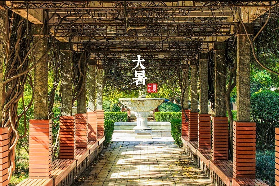 特刊|大暑·致LL—精灵的跳跃与隐匿