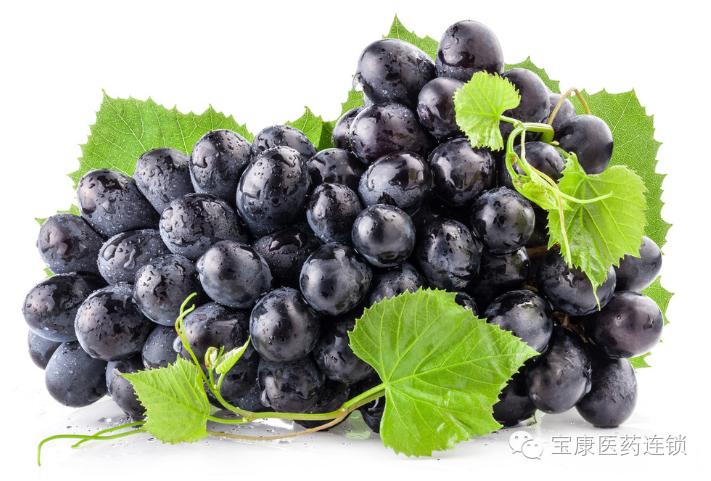 阴虚气血不足用什么食物补来得快,女性脾胃虚弱气血不足吃什么食物