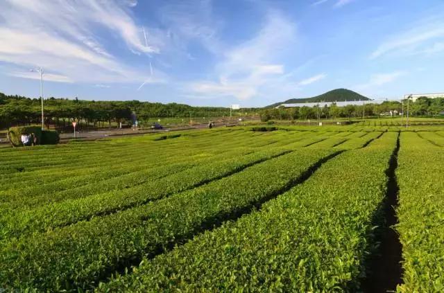 济州岛对中国一直免签吗,济州岛是对全球免签的吗