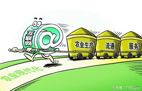 贵阳白云区电商中心,贵阳网络创业项目