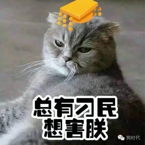 随手清理狗的粪便对吗,不停的捡猫毛