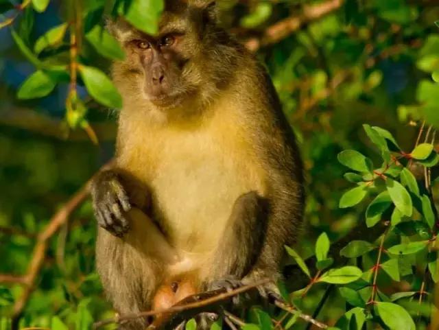 仙本那的海洋旅游,仙本那的海水比三亚好多了