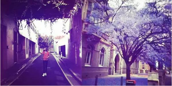 女性去澳洲留学经历,澳洲留学行前准备攻略