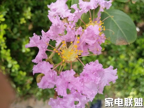 vivox7深度评测,vivox70标准版夜景视频测评