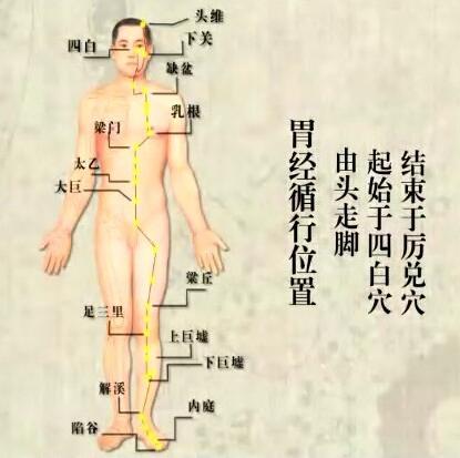 胃胀肝气郁结吃什么药,胃胀肝气郁结按摩穴位