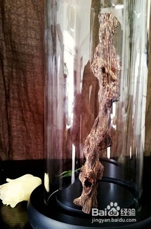 马来西亚沉香的功效,马来西亚沉香的鉴别方法