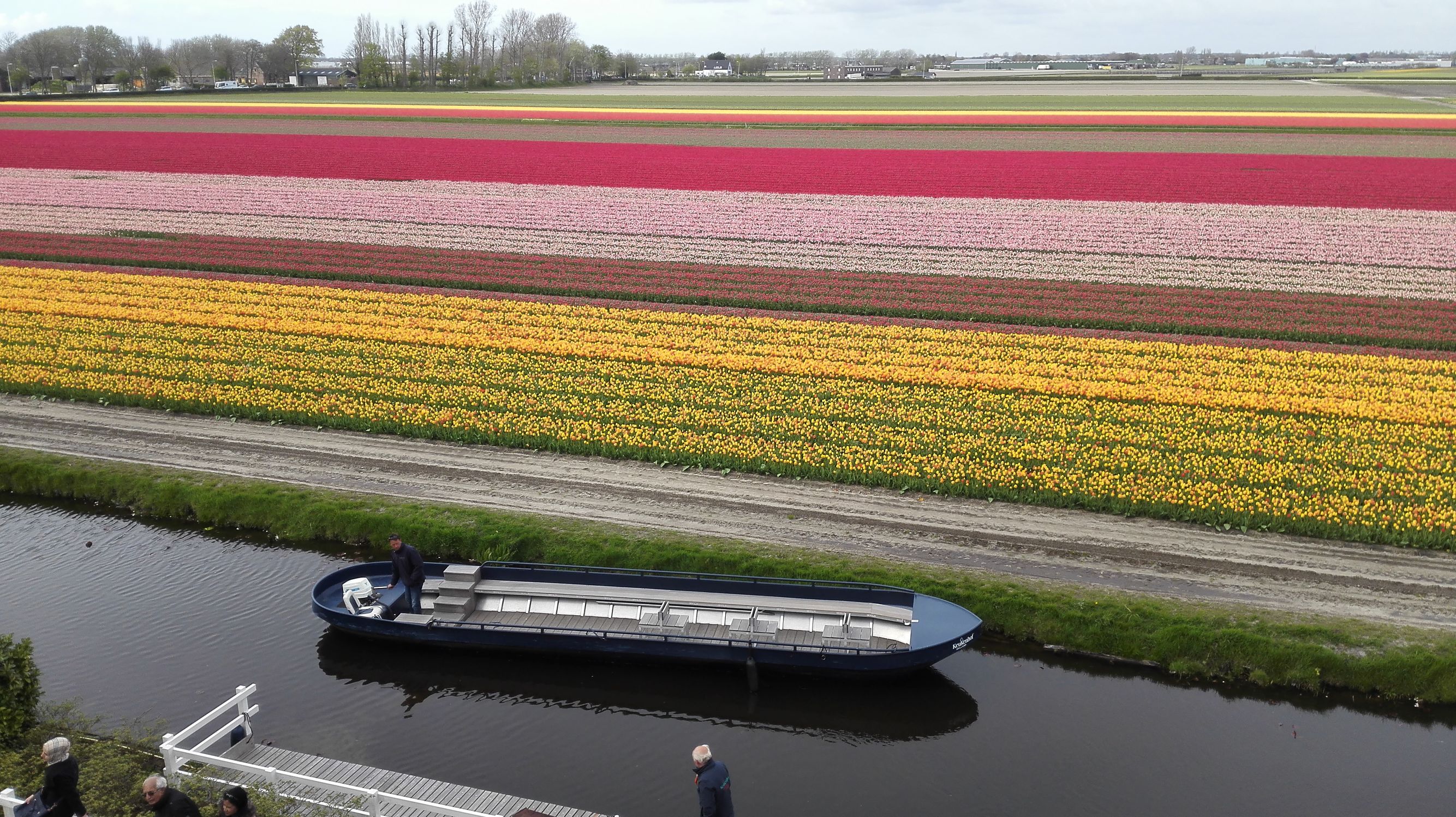 荷兰奶粉哪款最好,八一八中华老字号