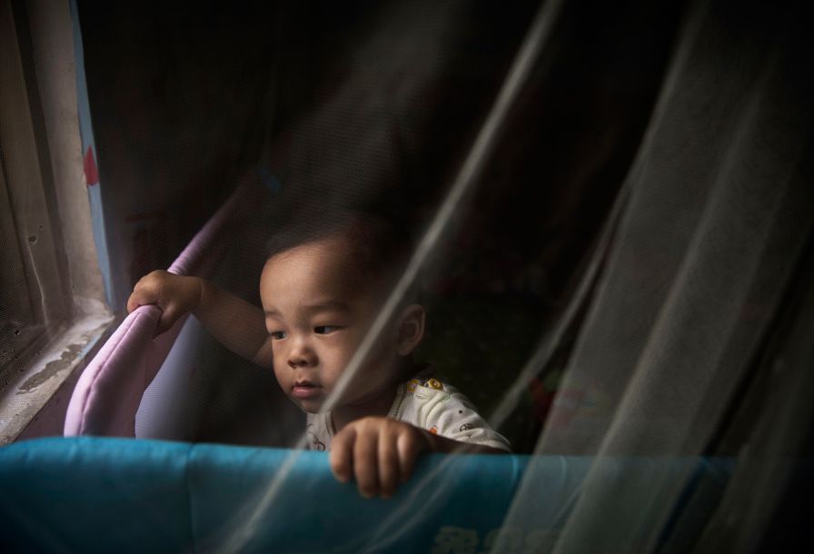 科学家尝试给蚊子做绝育,如何给一只蚊子做绝育