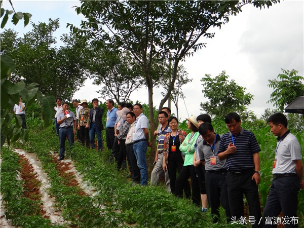 富源财政扶持创业,富源支柱产业