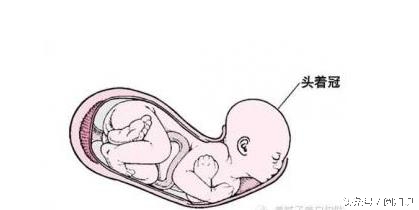 生孩子的基本知识和方法,生孩子到底是怎么样才是正确的