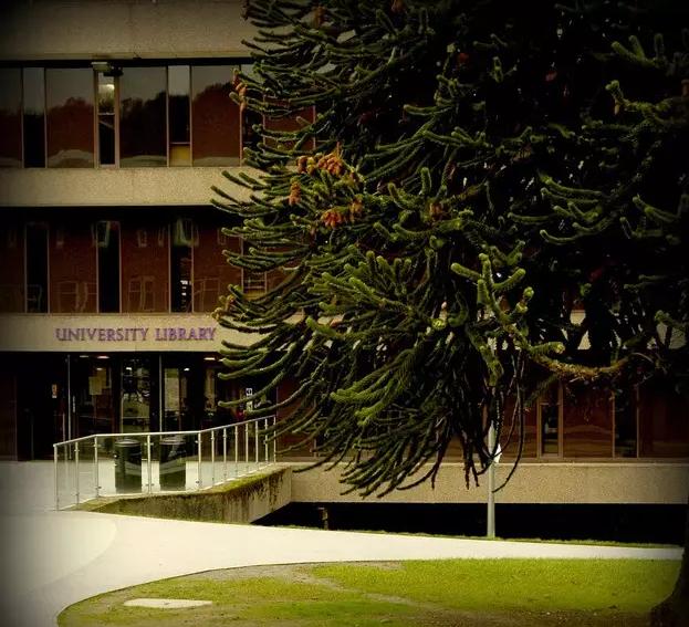 英国杜伦大学排名,英国排名前十的大学杜伦大学