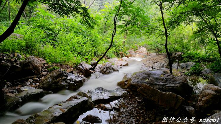 原来可以这么美这么精致,原来可以这么美舞蹈视频