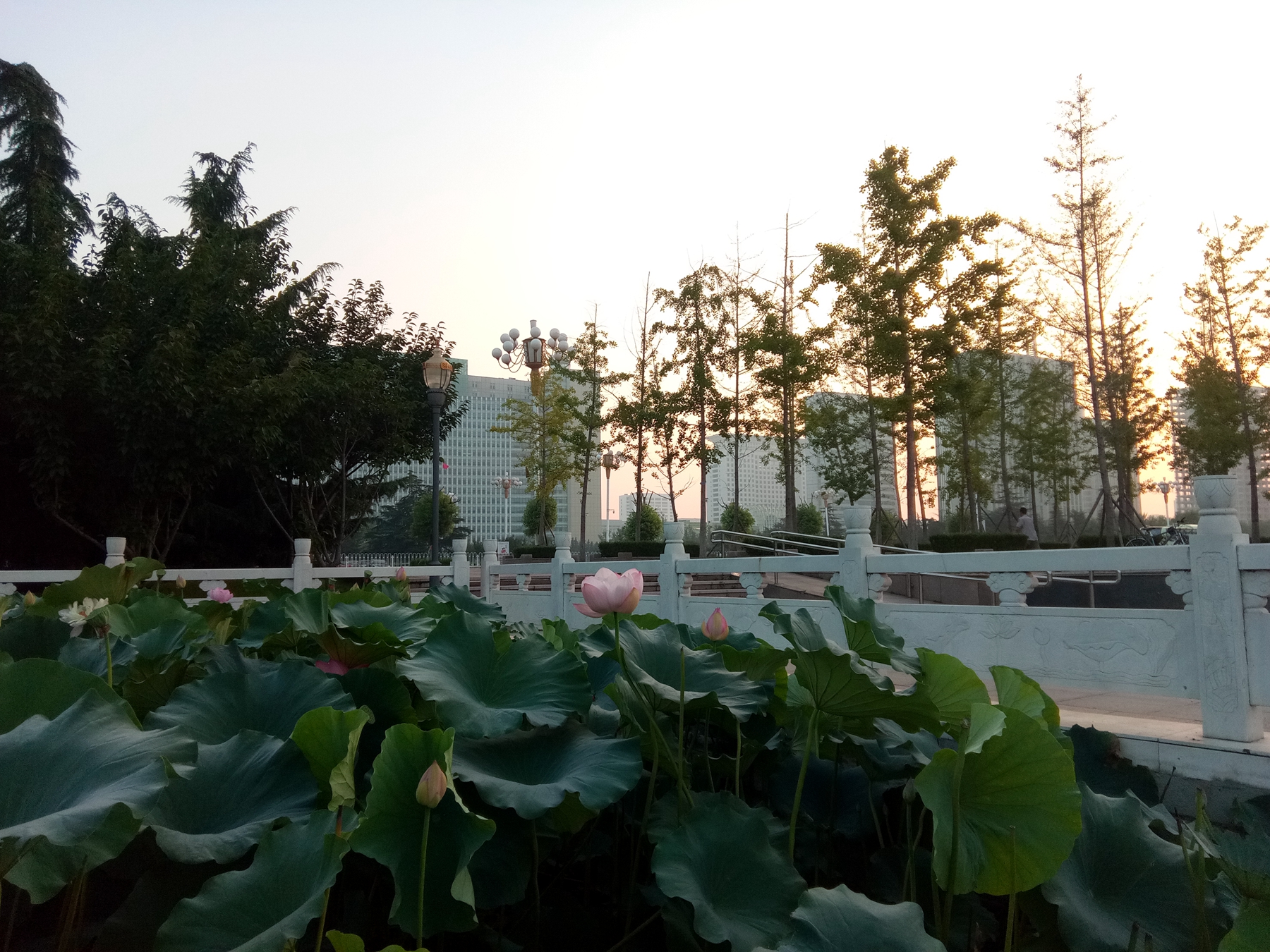 小品牌性价比电动车,酷比max5参数