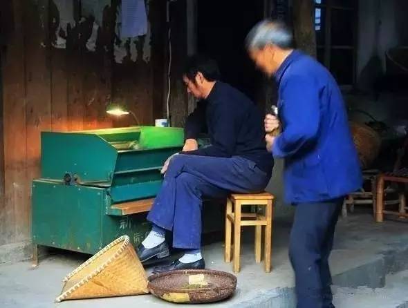 休闲农业可以开发哪些创意,休闲农业学什么课程