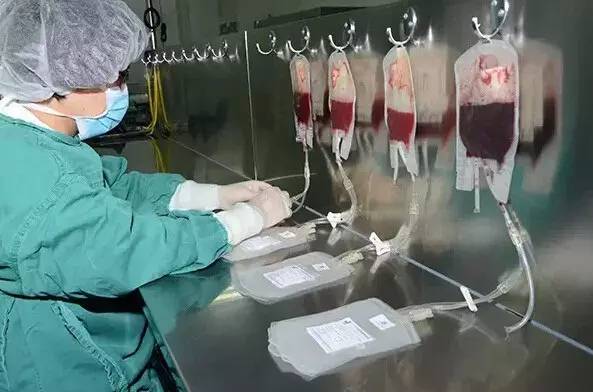 脐带血要不要保存看了你就明白,脐带血到底要不要保存案例