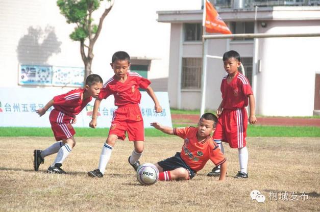 不得了!柯城这群绿荫小将拿了全省冠军!