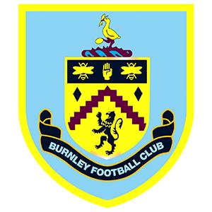 英超足球队队徽演变视频,换头像上瘾