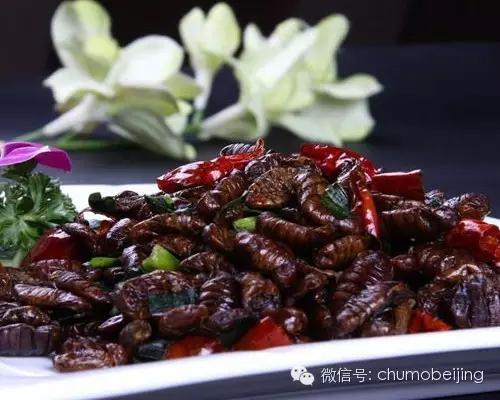 北京海淀高逼格餐厅推荐,北京十大必吃人气餐厅排名前十