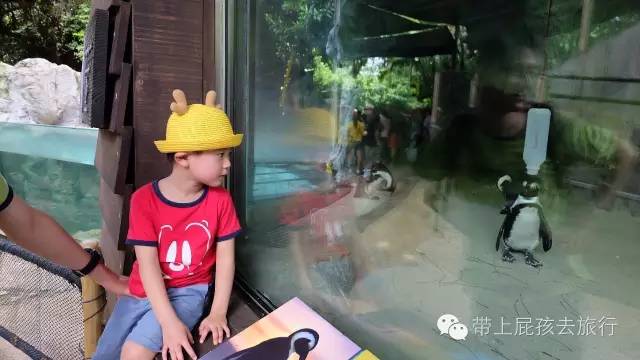 我是怎么在旅行中让娃学会英语的？7大技巧，分分钟牛娃！