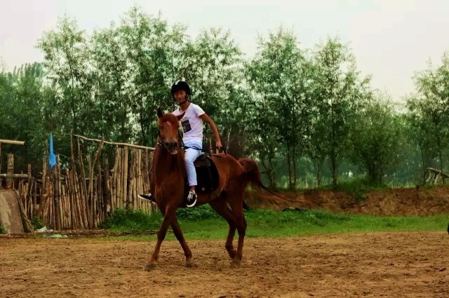 韩城黄河骑马,韩城古城骑马