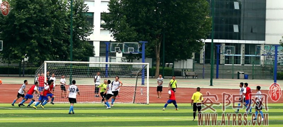 河南省安阳市豫冠联赛,豫冠联赛总决赛视频